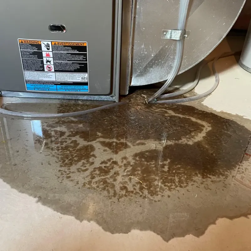 Appliance Leak Cleanup in Condon, OR