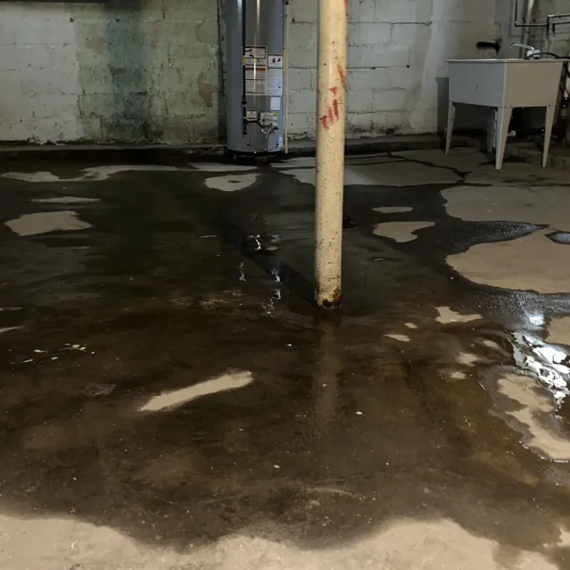 Emergency Water Extraction And Removal in Condon, OR